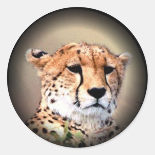 Cheetah Tear Marks Hakunamatatapng Classic Round Sticker