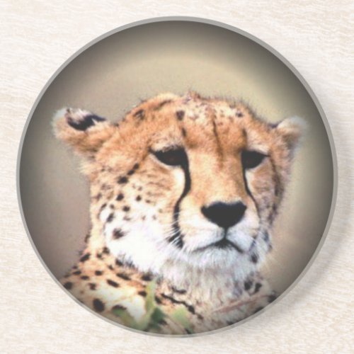 Cheetah Tear Marks Hakunamatata Sandstone Coaster