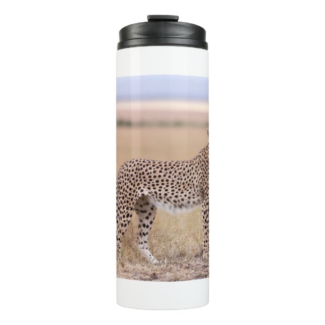 Cheetah Thermal Tumbler (Front)