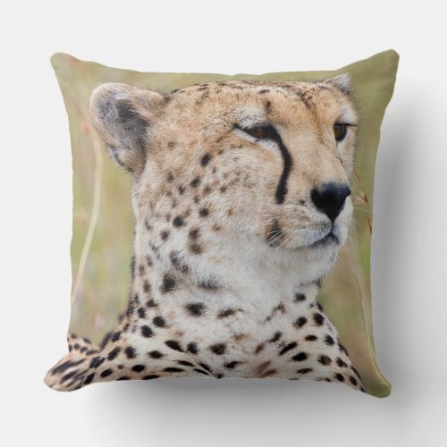 Cheetah Throw Pillow