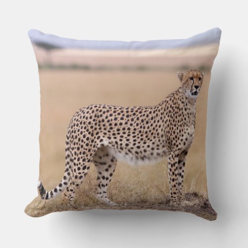 Cheetah Throw Pillow