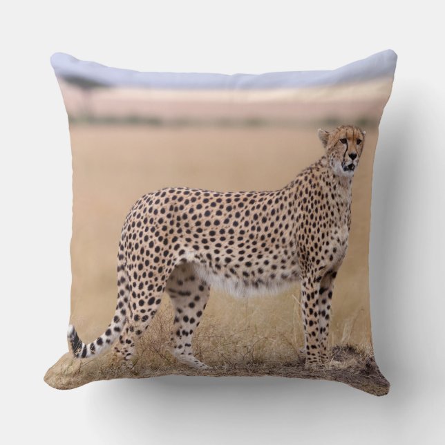 Cheetah Throw Pillow (Front)