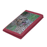 Cheetah Tri-fold Wallet
