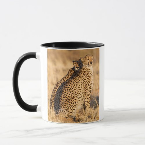 Cheetah Two males Mug