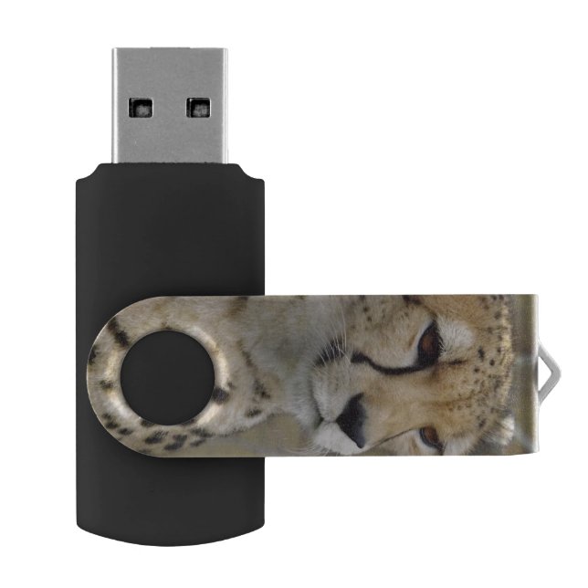 Cheetah USB Flash Drive (Opened)