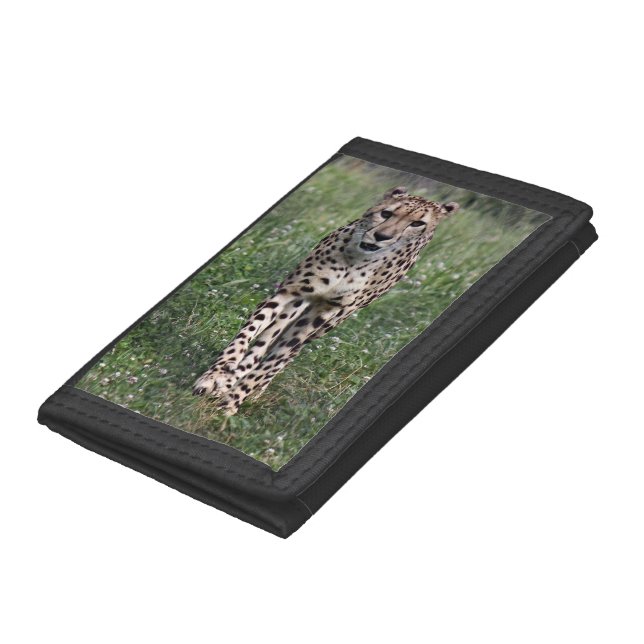 Cheetah Wallet (Bottom)
