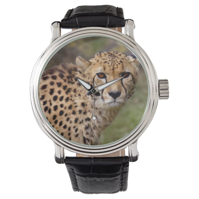 Cheetah Watch (Front)