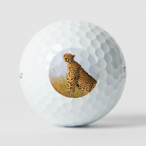 Cheetah wild animal Big Cat photo Golf Balls