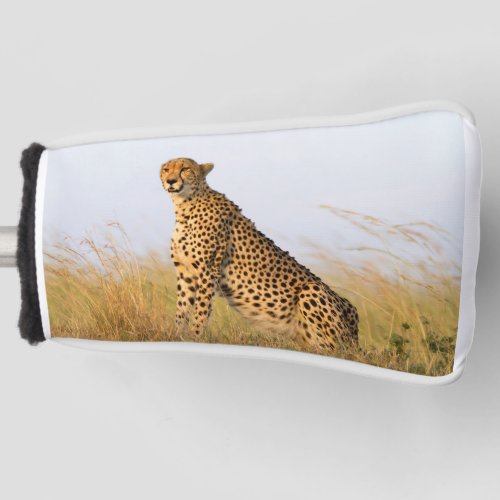 Cheetah wild animal Big Cat photo Golf Head Cover