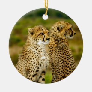 Cheetah Christmas Ornaments