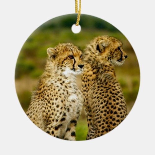 Cheetah Wildlife Photo Ceramic Ornament