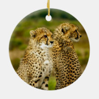 Cheetah Mom and Cub Ornament