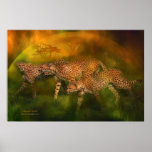 Cheetah World Art Poster/Print Poster