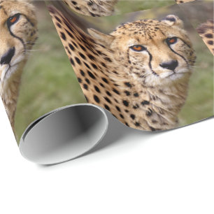 Cheetah Wrapping Paper