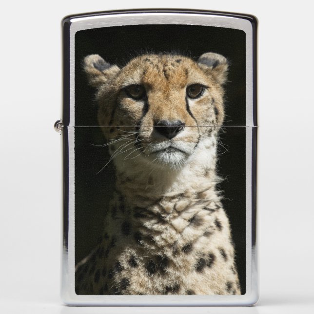Cheetah Zippo Lighter (Front)