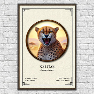Cheetah Zoology Series Poster
