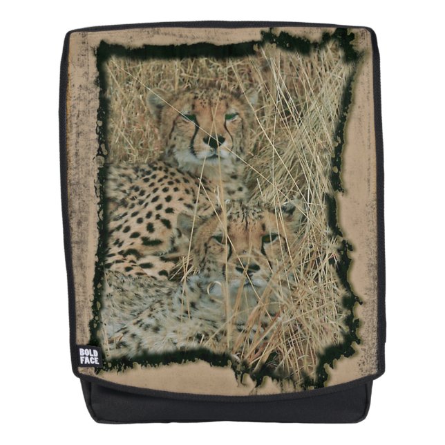 Cheetahs Backpack (Front)