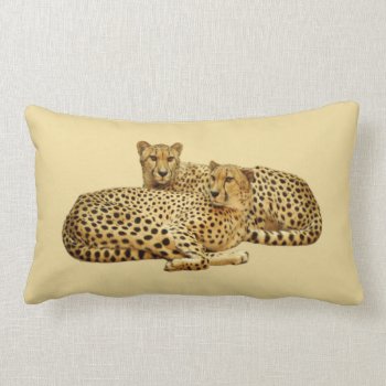 Cheetahs Lumbar Pillow by warrior_woman at Zazzle