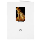 Cheetahs stance cards (Back)