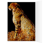 Cheetahs stance cards (Inside (Left))