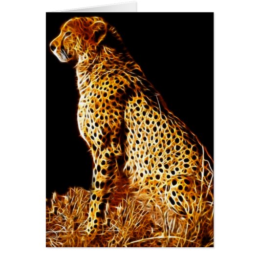 Cheetahs stance cards (Front)