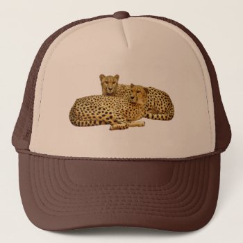 Cheetahs Trucker Hat by warrior_woman at Zazzle