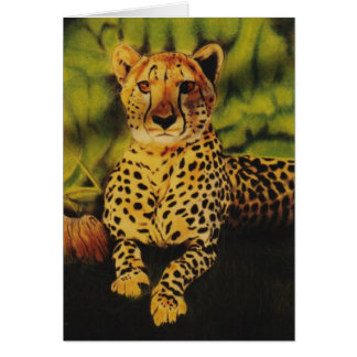 "Cheetha" Cards