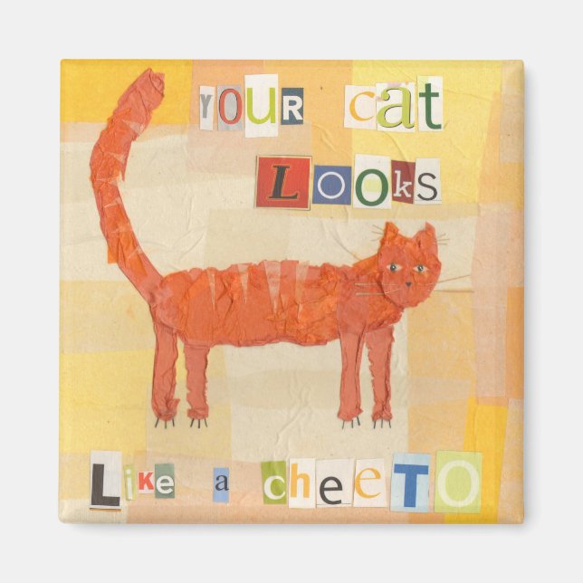 Cheeto Cat magnet (Front)