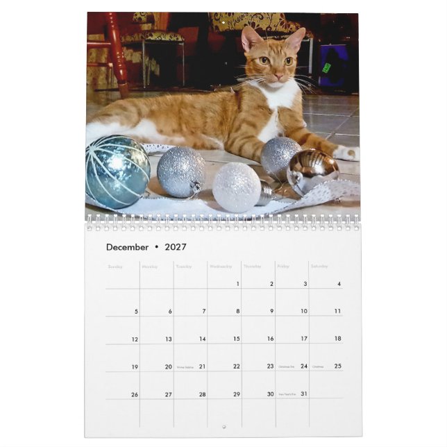 Cheeto Dacutecat 2020 Calendar (Dec 2027)