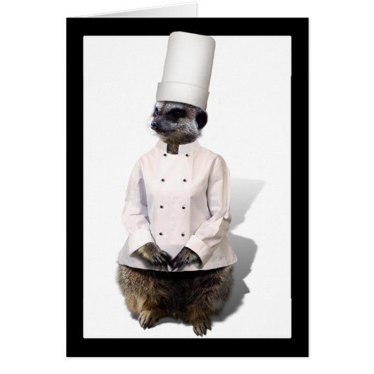 Chef Meerkat Cards (Front)