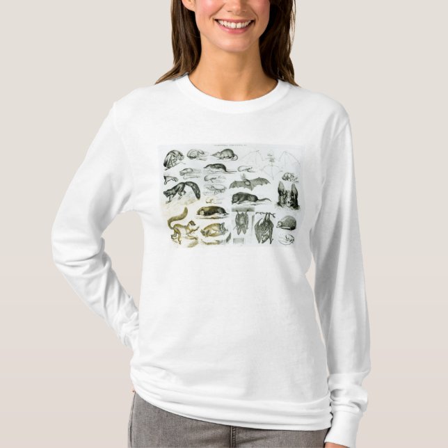 Cheiroptera, Insectivora T-Shirt (Front)