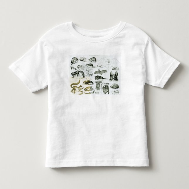 Cheiroptera, Insectivora Toddler T-shirt (Front)