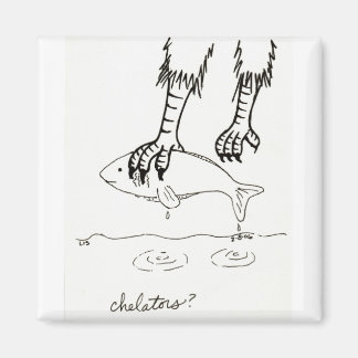 Chelators magnet