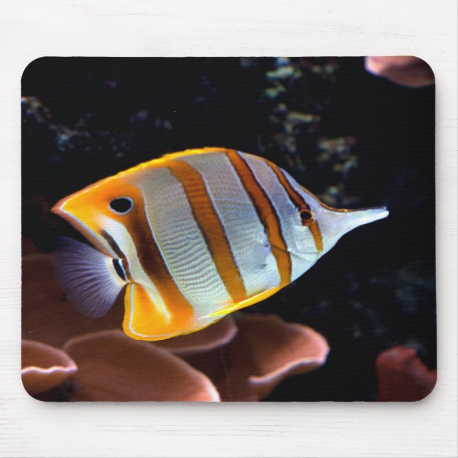 Chelmon rostratus mouse pad (Front)