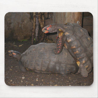 Chelonoidis carbonaria mouse pad