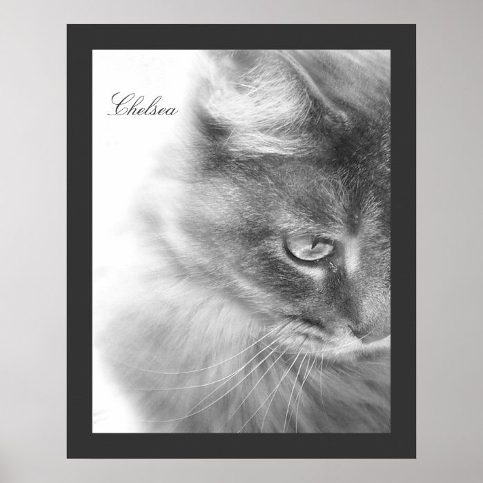 "Chelsea" Cat Portrait Poster