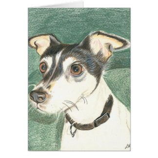 Chelsea fox terrier. cards