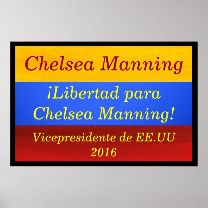 Chelsea Manning   Vicepresidente EE.UU 2016 Poster