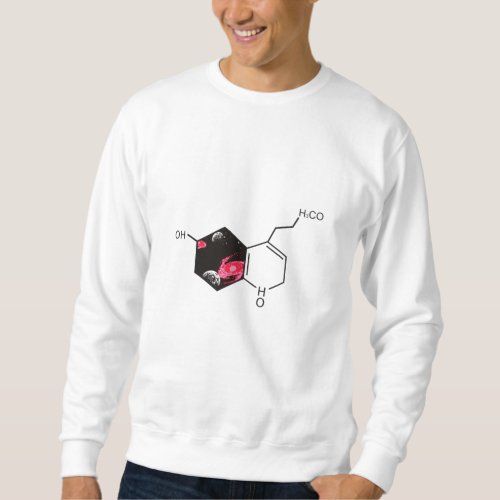 Chemical molecule with outer space view sweatshirt