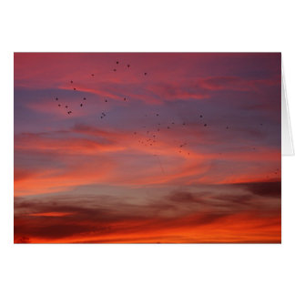 Chemical skies 6 cards