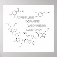 chemical structure of love