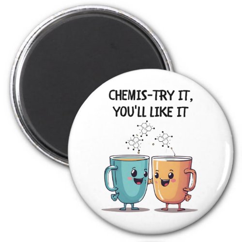 Chemis_try It Youll Like It Magnet