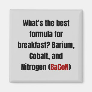 Chemistry Bacon Pun Magnet