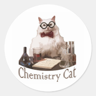 Chemistry Cat (from 9gag memes reddit) Classic Round Sticker