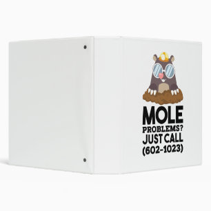 Chemistry - Mole Problems 3 Ring Binder