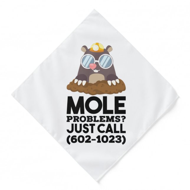 Chemistry - Mole Problems  Bandana (Front)
