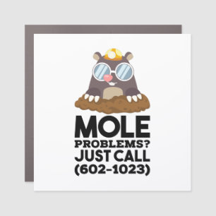 Chemistry - Mole Problems Car Magnet