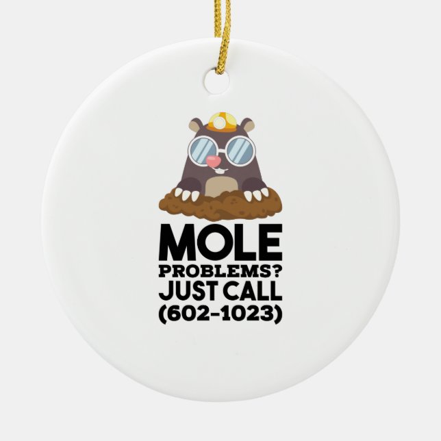 Chemistry - Mole Problems  Ceramic Ornament (Front)