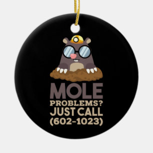 Chemistry - Mole Problems Ceramic Ornament