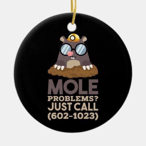 Chemistry _ Mole Problems Ceramic Ornament